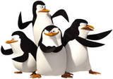 penguins.jpg