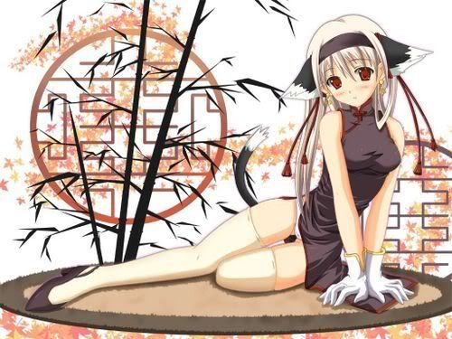 Obrázok “http://i158.photobucket.com/albums/t101/Akatsuki_Member/Anime%20Girls/normal_kawaii_neko_girl.jpg” sa nedá zobraziť, pretože obsahuje chyby.