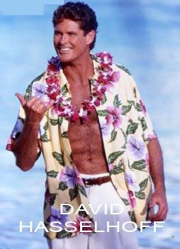 DavidHasselhoffwithTxt.jpg