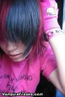 Photo Sharing and Video Hosting at Photobucket