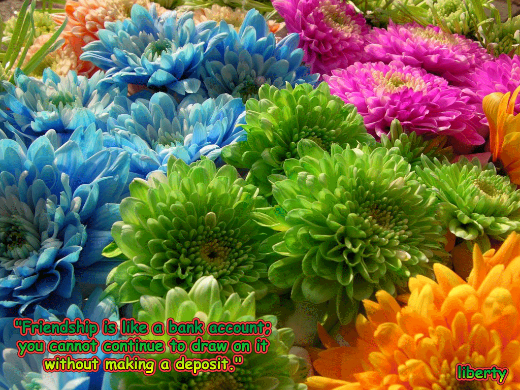 f_3ba6fd9ee42e.gif flowers image by arcels