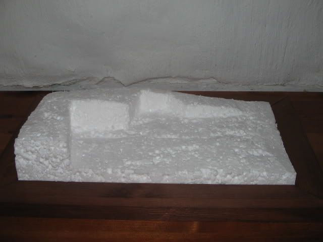 Pilt