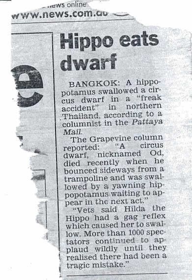 hippo.jpg