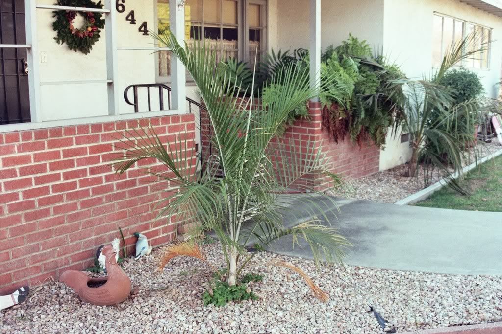 011_14A_00.jpg