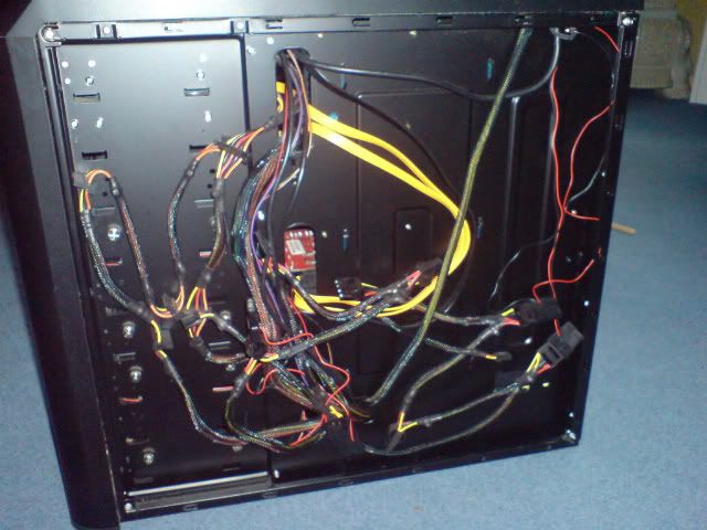 DSC00333.jpg