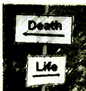 schild-lifedeath.gif witch way? image by HeartXTragicXCore
