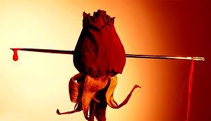 ruzickala9.jpg krvacejici ruze image by azaleasosweet