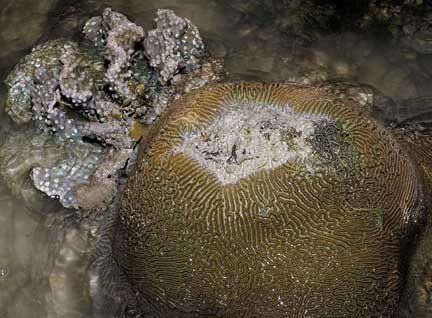 070420sntd0267m6.jpg