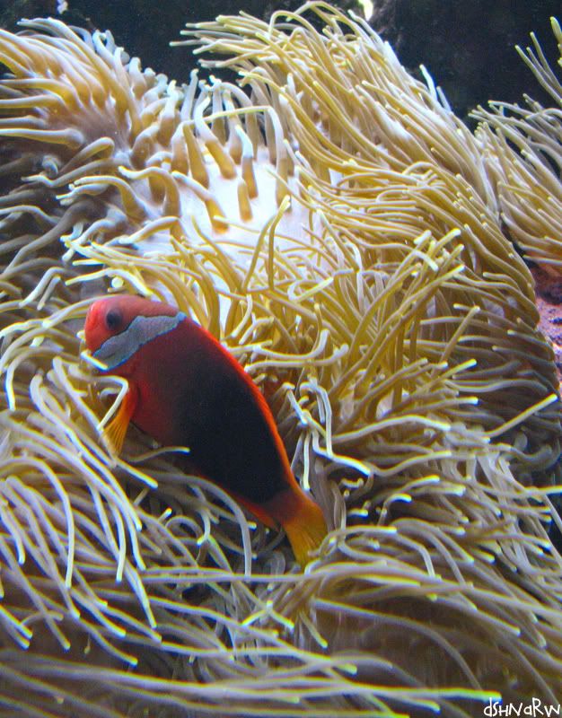 waikiki_aquarium04.jpg