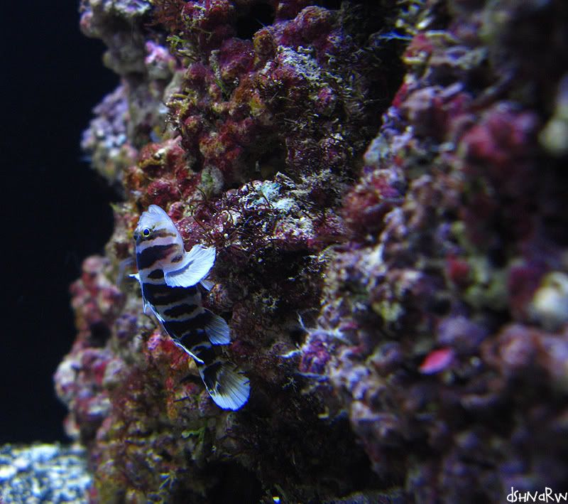 waikiki_aquarium07.jpg