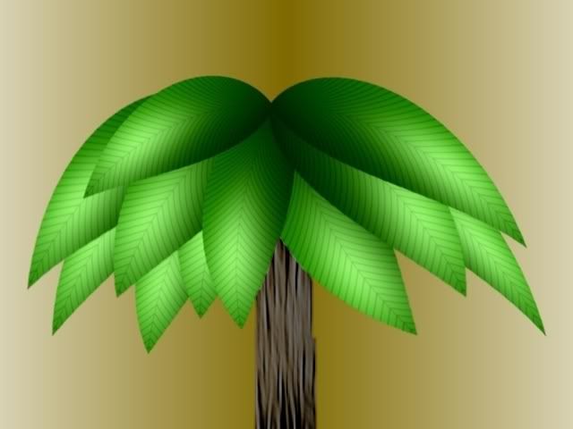 palmtree.jpg