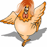 th_chicken-picture1withhair.png