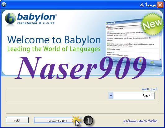  Babylon Pro.v8.0.0.r24     