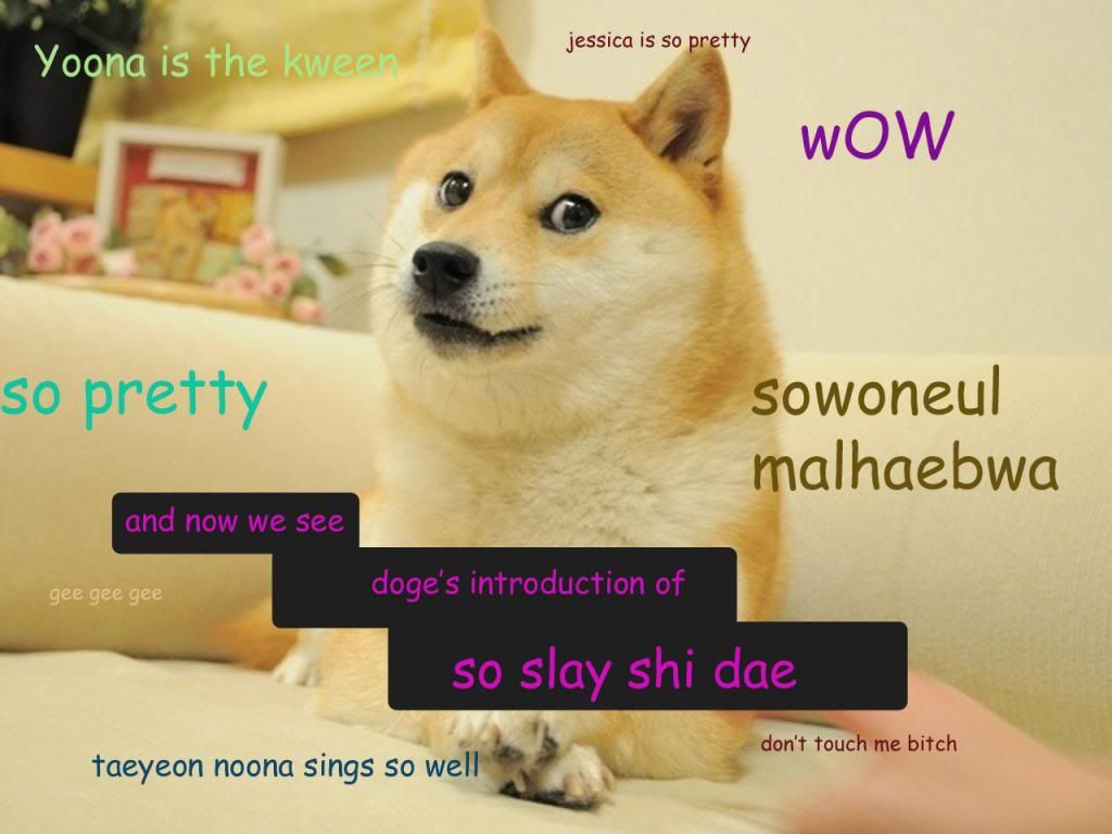 doge-reaction.jpg