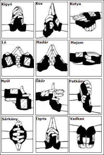 Teamkonoha