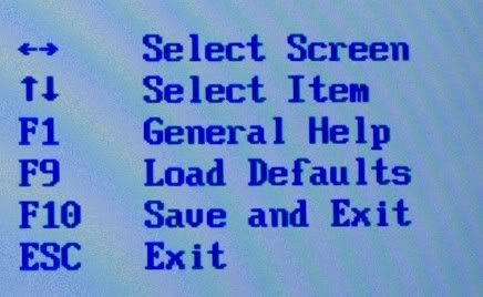 2924_18_crop.jpg