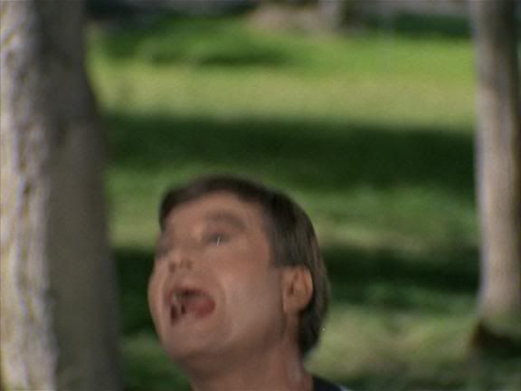 aaaa.jpg
