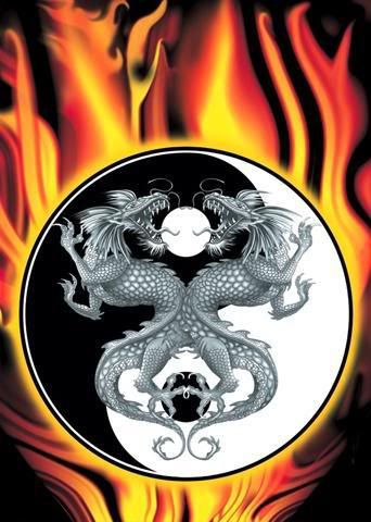 dragon ying yang Pictures, Images and Photos
