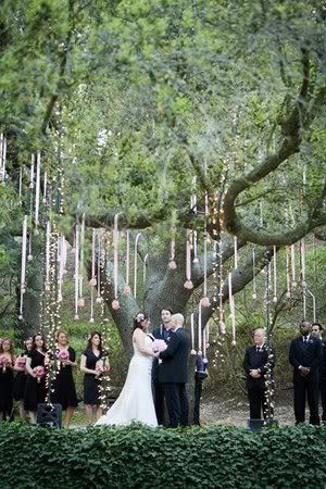 In search of ideas on how to decorate a big tree for a wedding ceremony