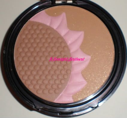 Carmindybronzer2.jpg