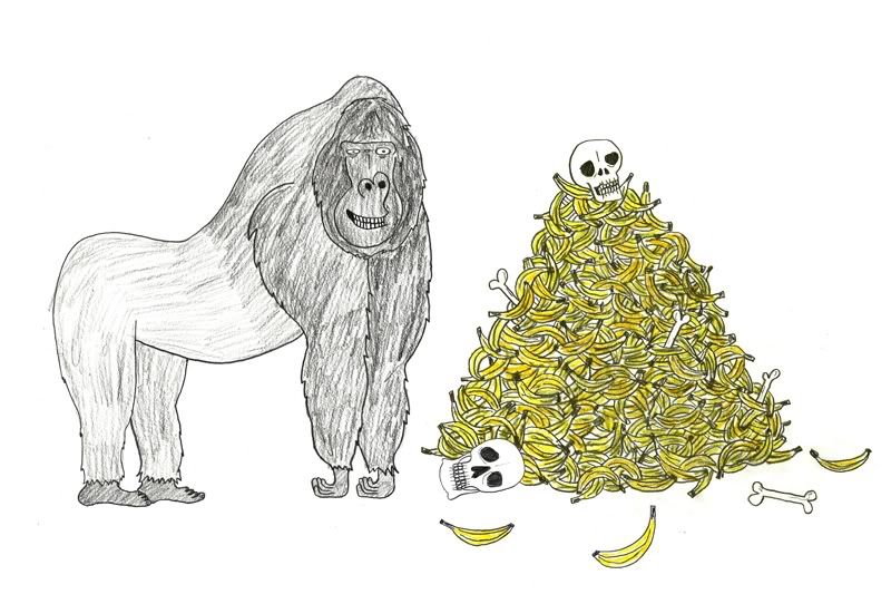 Animal Kingdom Gorilla by Asa Wikman