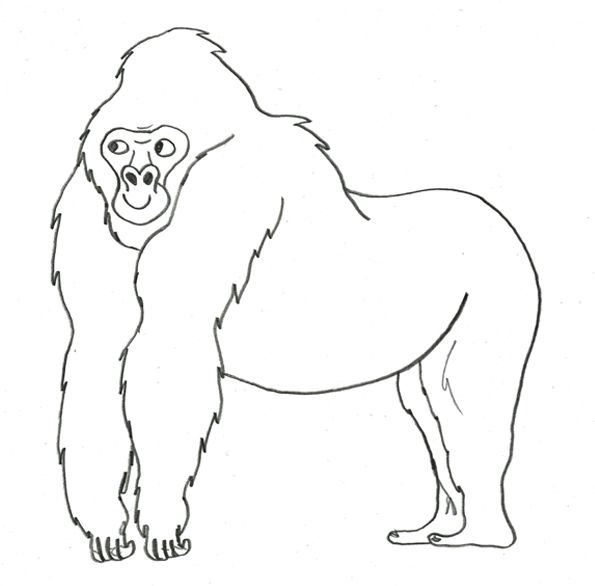  photo gorilla sketch by asa wikman copy asa wikman.jpg