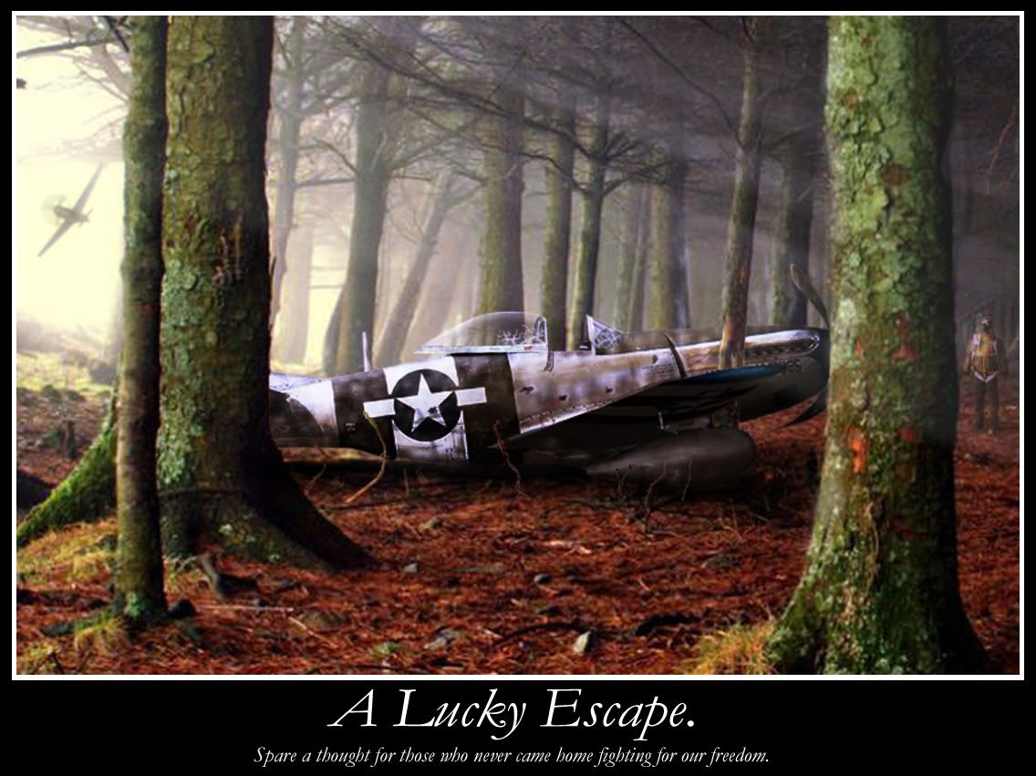 P-51crash-final.jpg