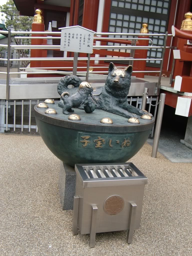 CIMG4842.jpg