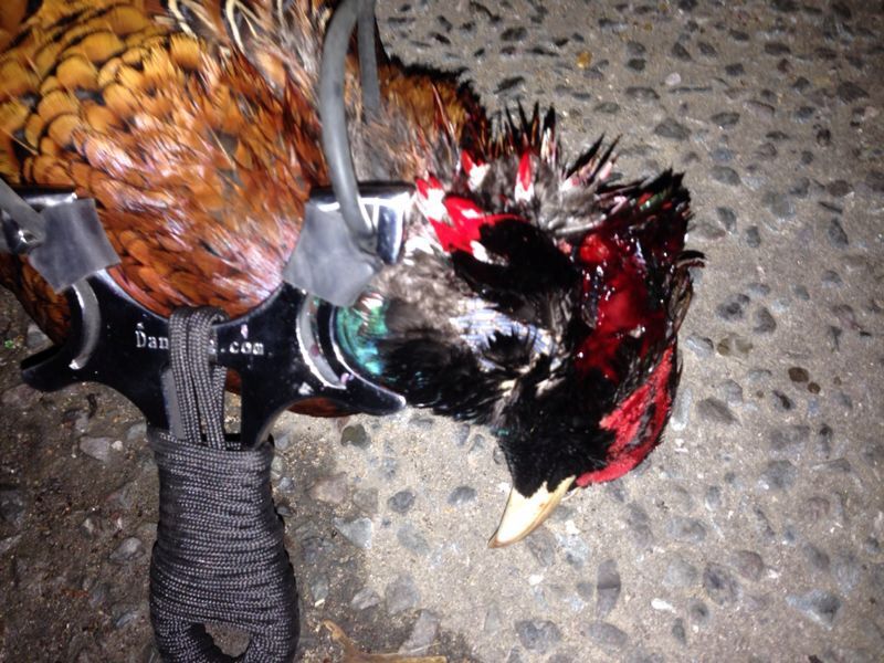 89D1E4ED-AC34-490A-9491-7B630A63826D-302