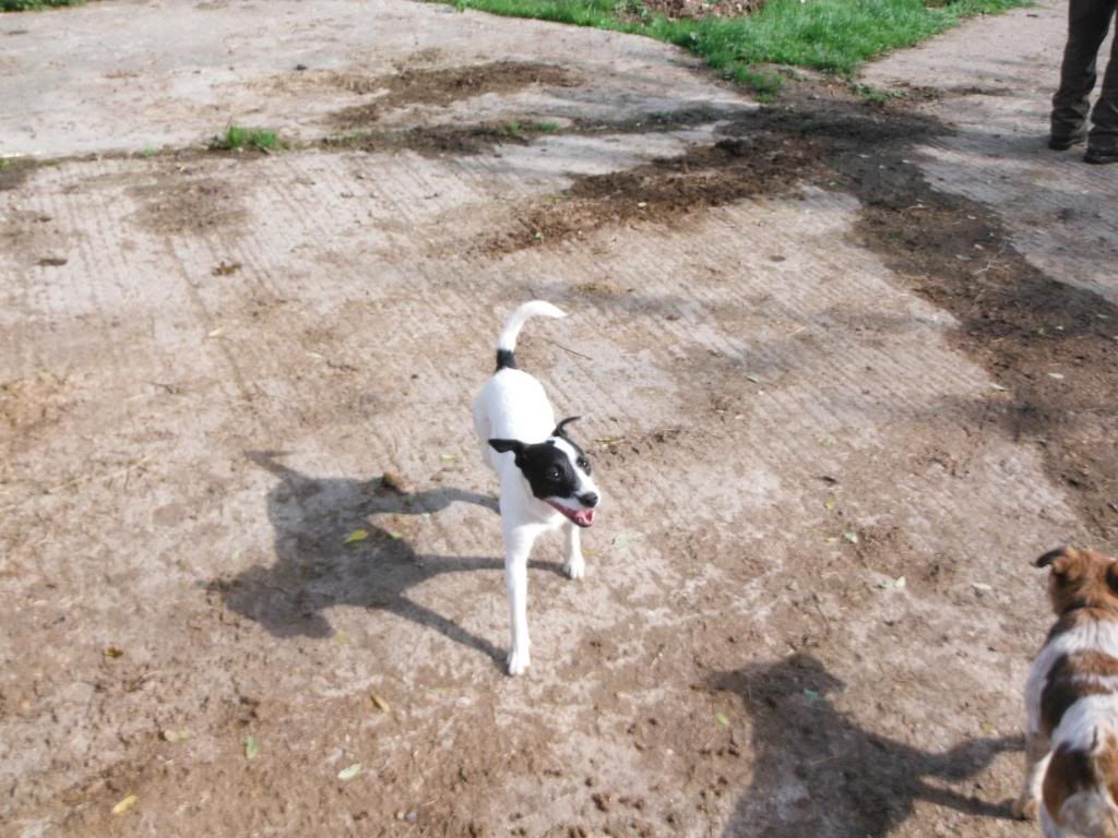 DSCF0556_zps947bcd89.jpg