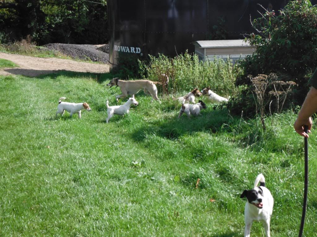 DSCF0571_zps509ac120.jpg