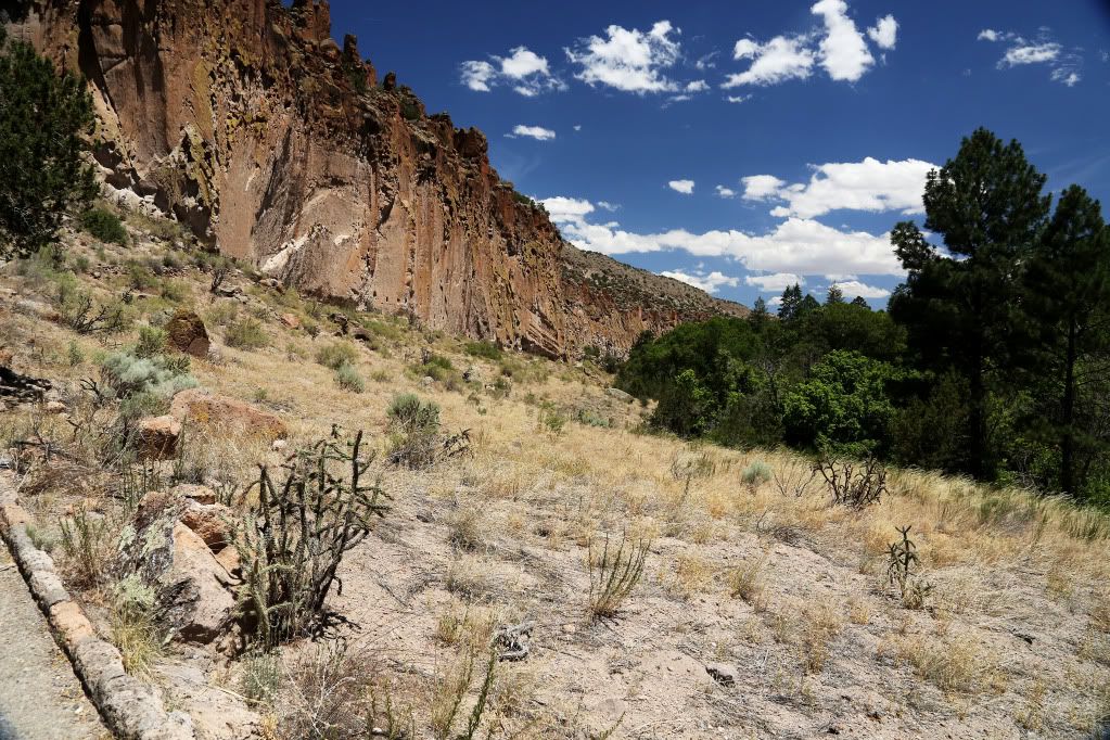 IMAGE: http://i158.photobucket.com/albums/t81/Assumer/hottrail.jpg