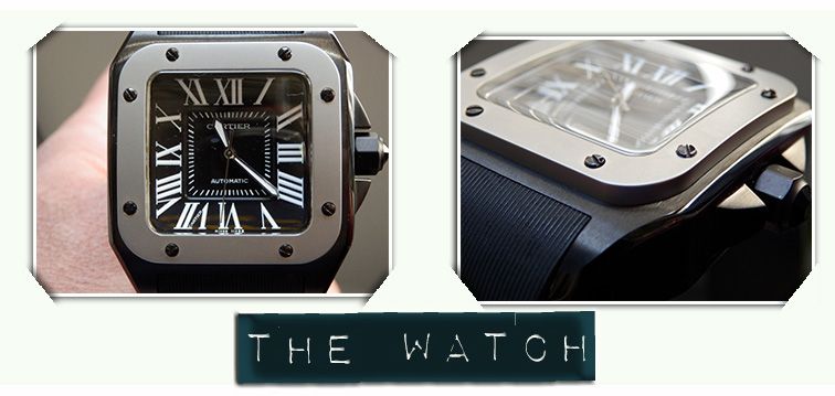 WatchesRewiew_CartierSantos1003_zps62c53370.jpg
