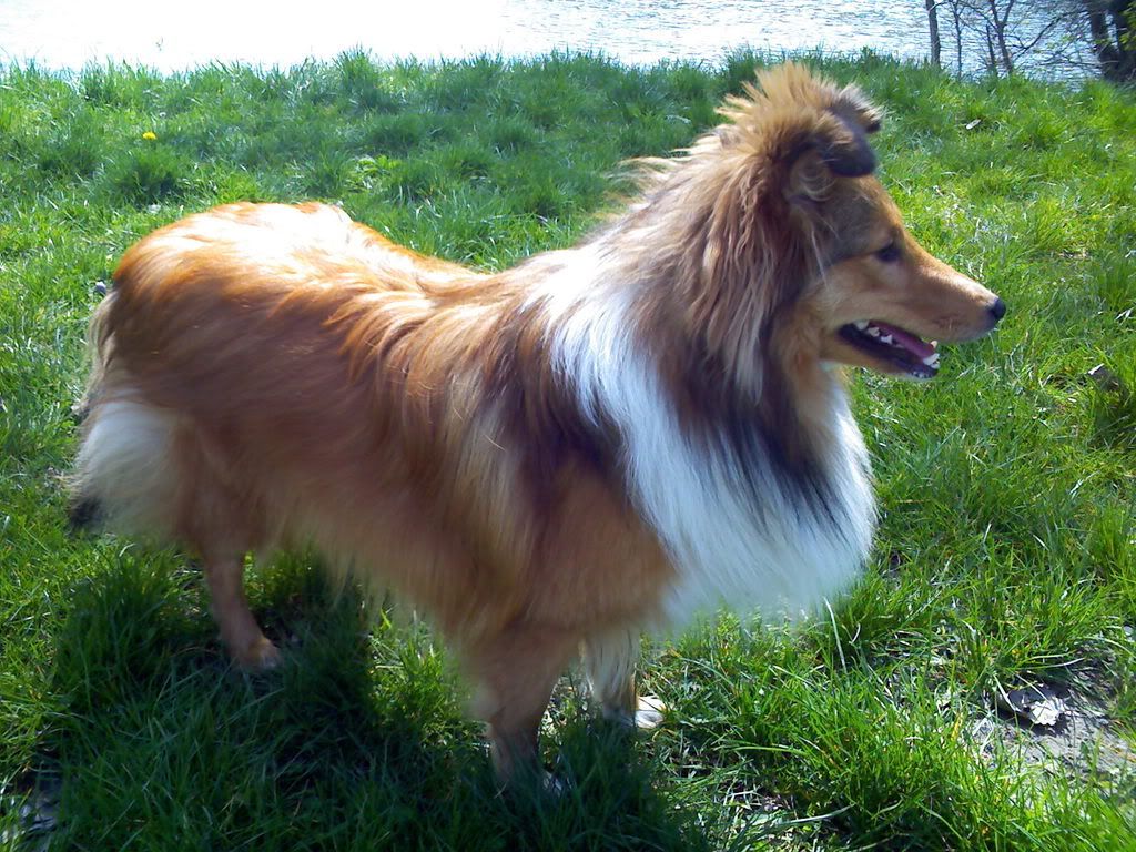 IMG012.jpg
