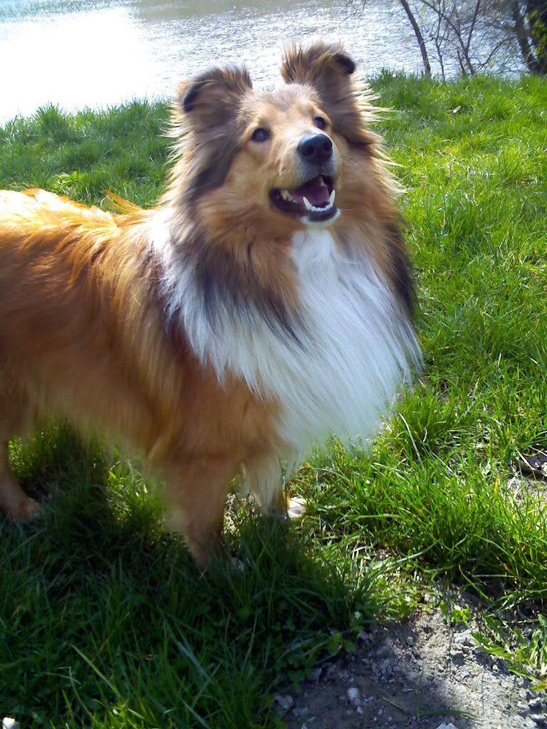 IMG013.jpg