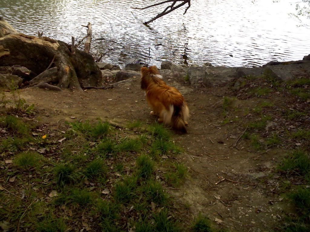 IMG023.jpg