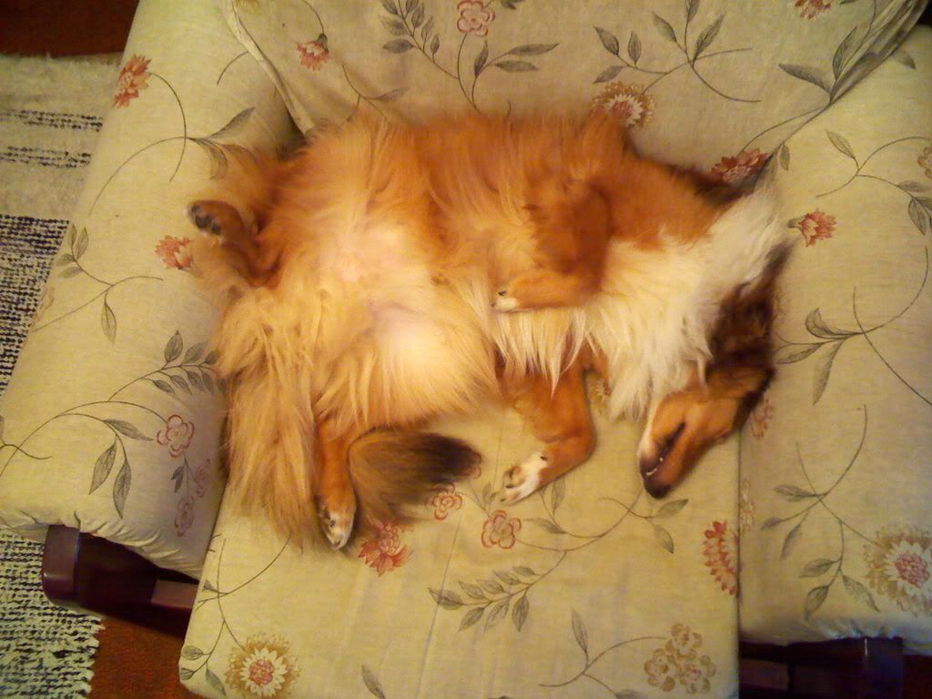 IMG361.jpg