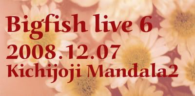 Bigfish live vol.6