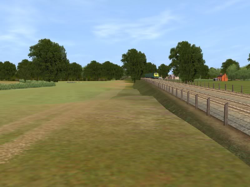 12_est_Woodland_embankment.jpg