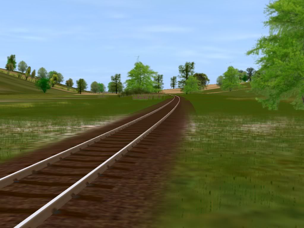 Branch_2_SLW_a.jpg