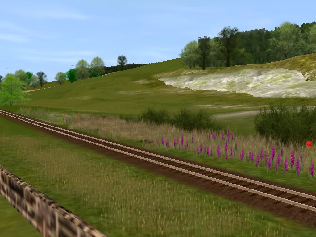 Branch_2_SLW_b.jpg