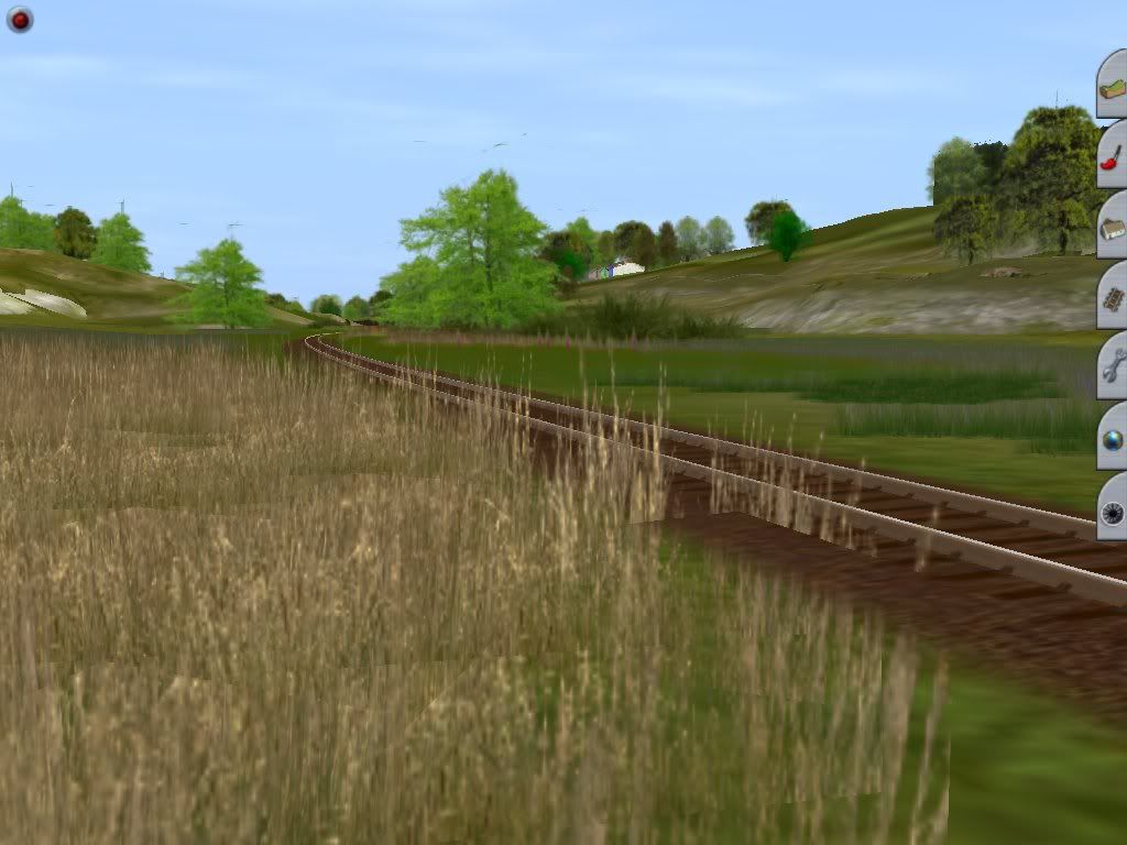 Branch_2_S_low3.jpg