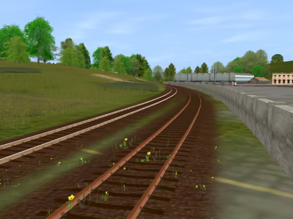 Branch_8_5.jpg