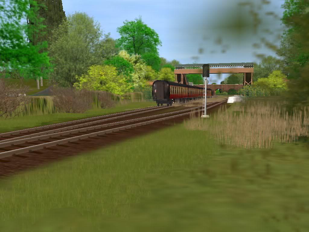 Branch_9_3.jpg