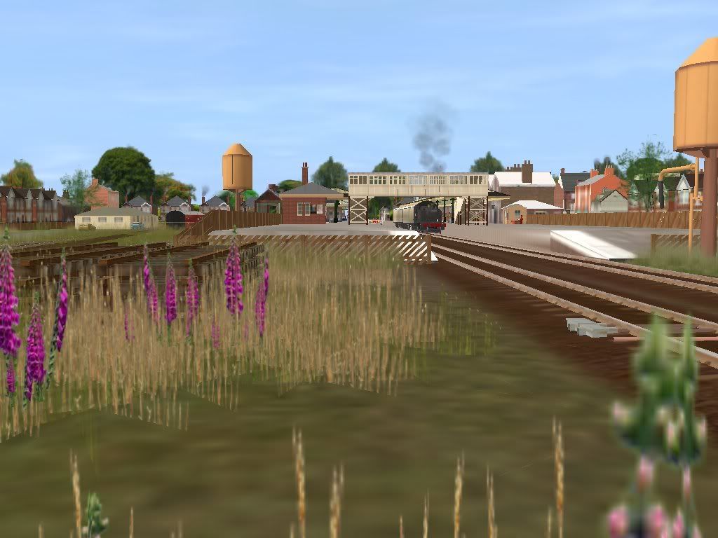 Branch_line_4_Fernwellow.jpg