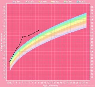 Penelope height chart 9 months