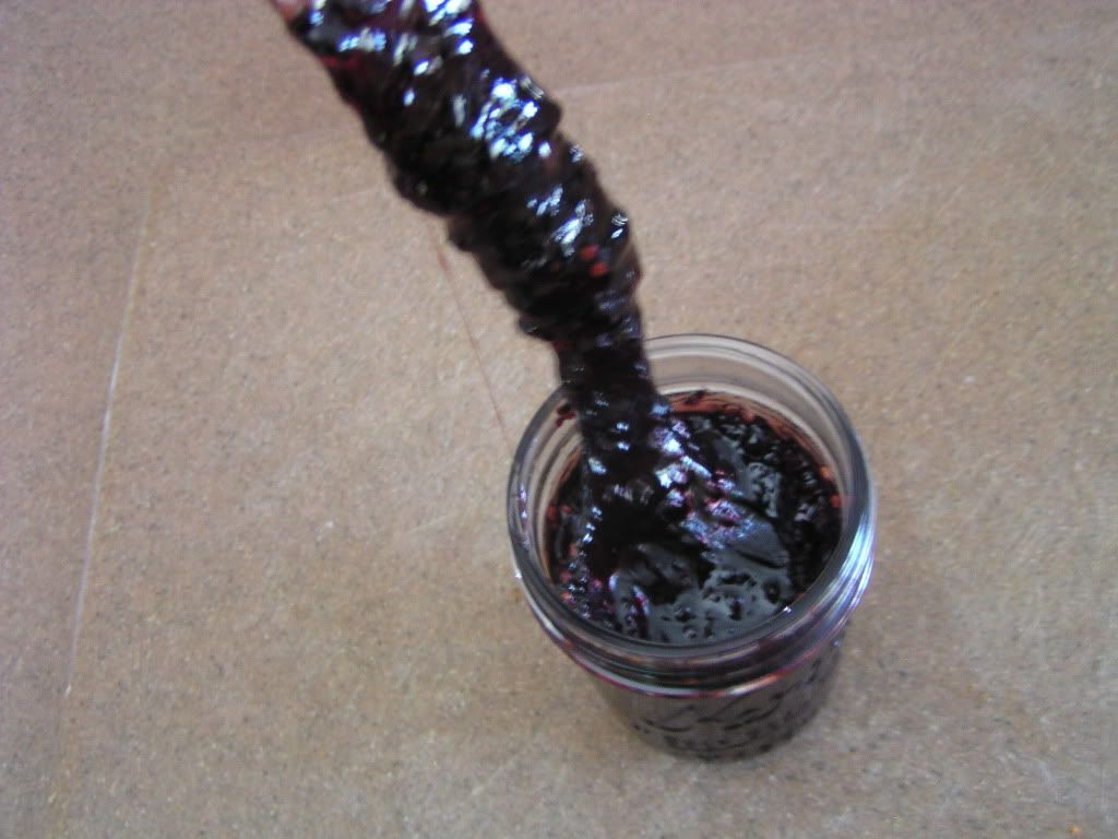 P1010717-1.jpg