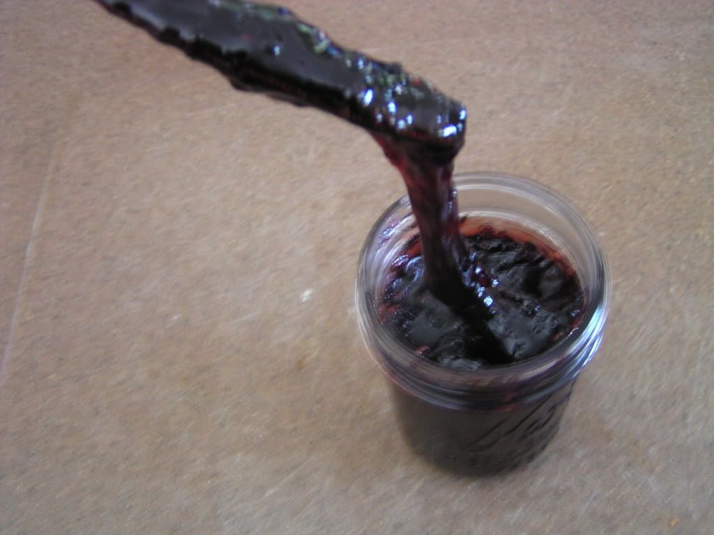 P1010718-1.jpg