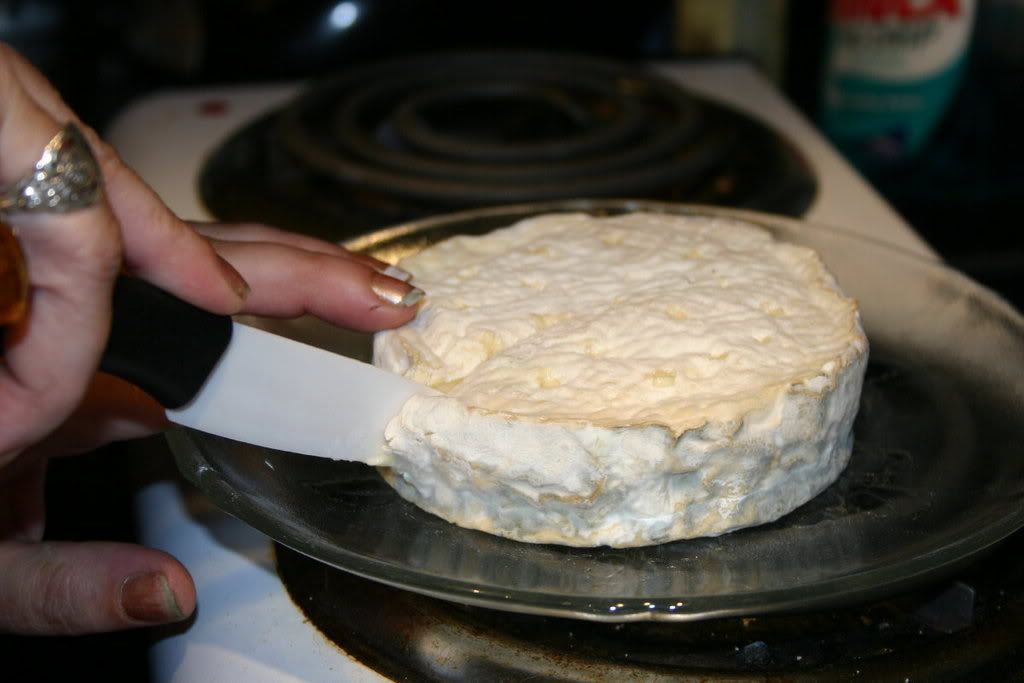 cambozola cheeses - Homesteading Questions