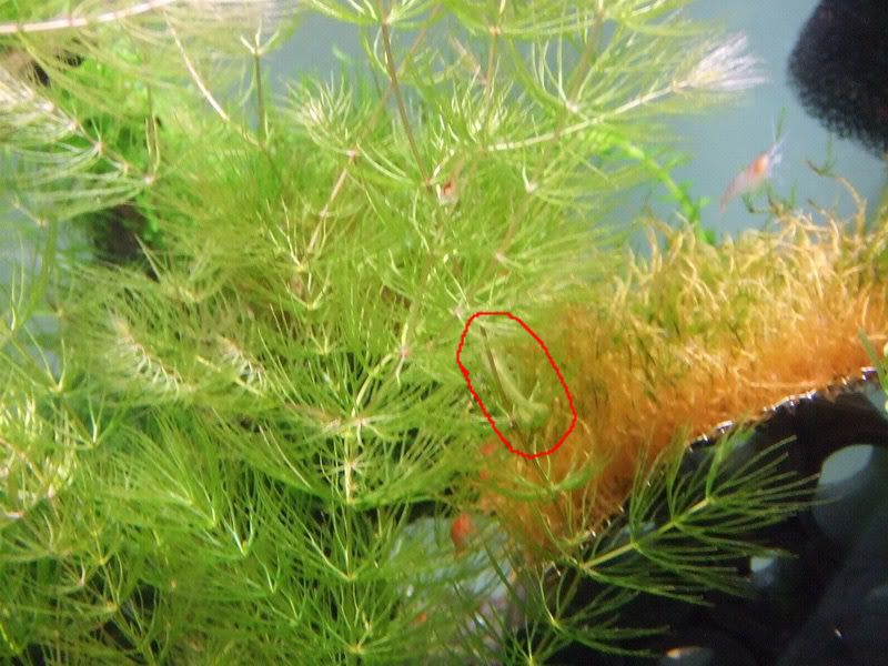 DSCF9431.jpg